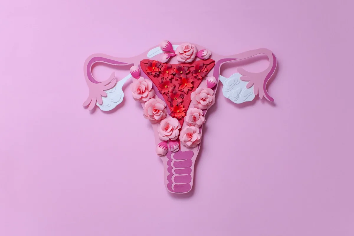 7 Common Myths About Genital Aesthetics