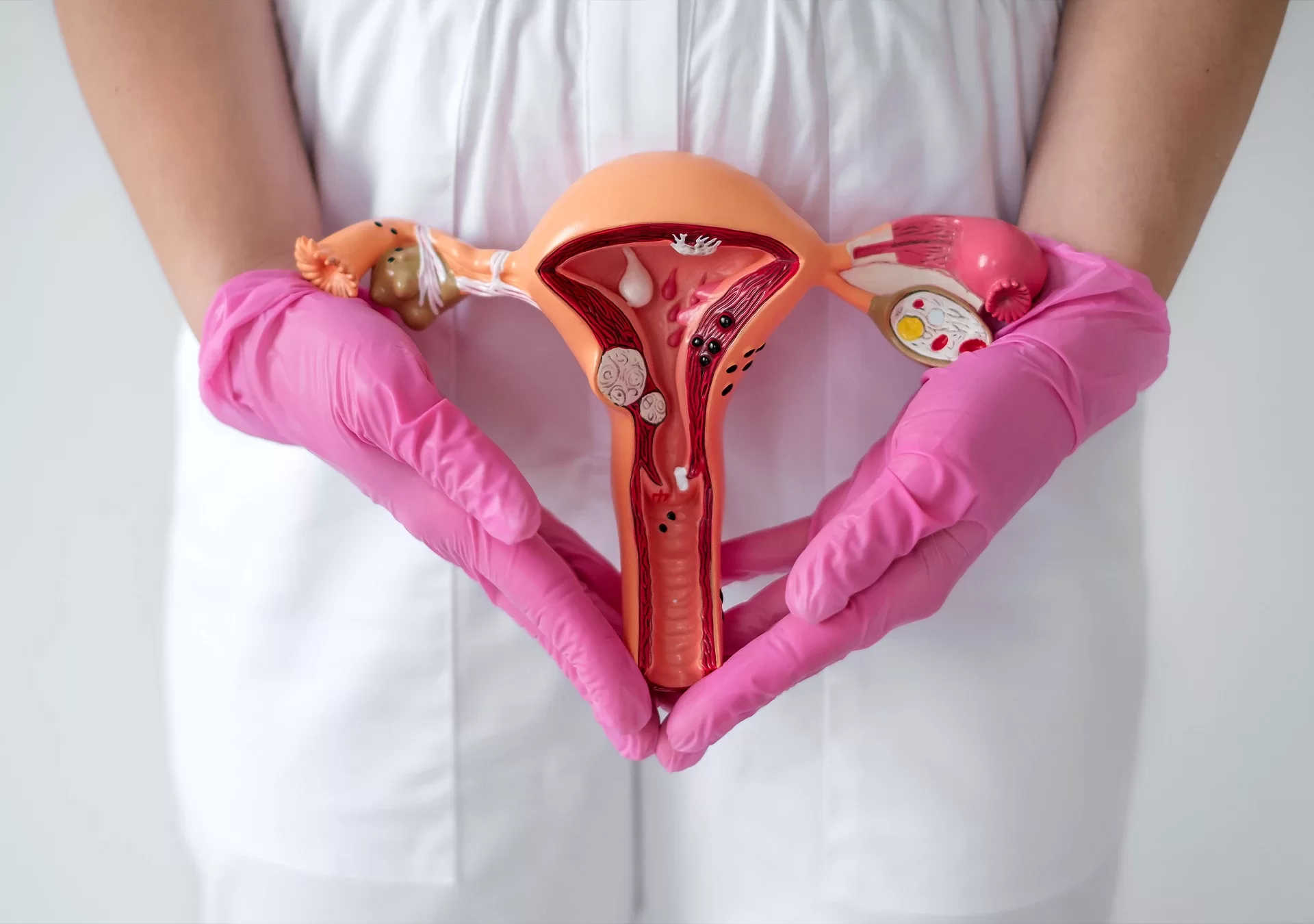 Labiaplasty in Izmir