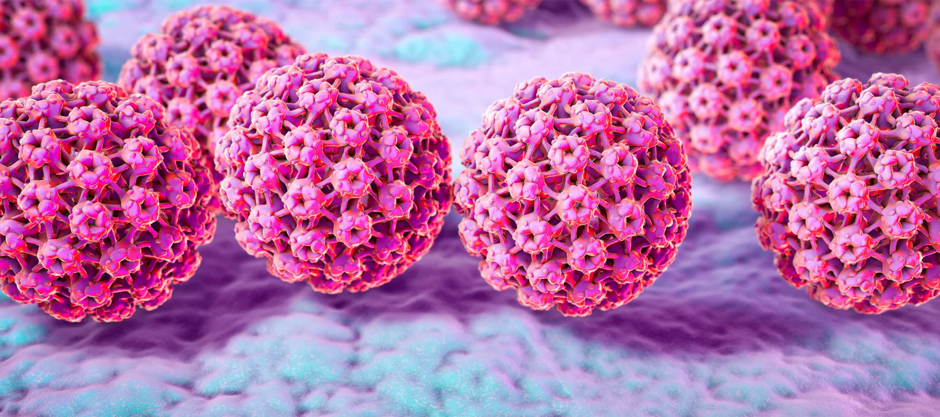 HPV